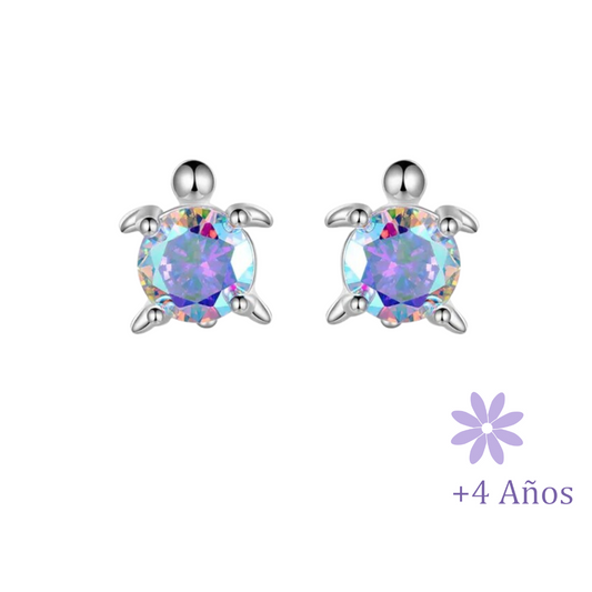 AROS TORTUGA CIRCÓN TORNILLO TOPE PLATA 925